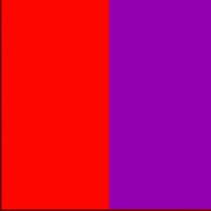 Meet your Posher, Cesar